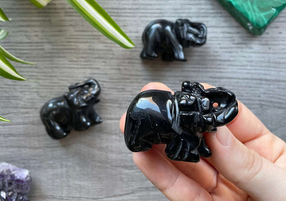 Pictured are various elephants carved out of black obsidian.