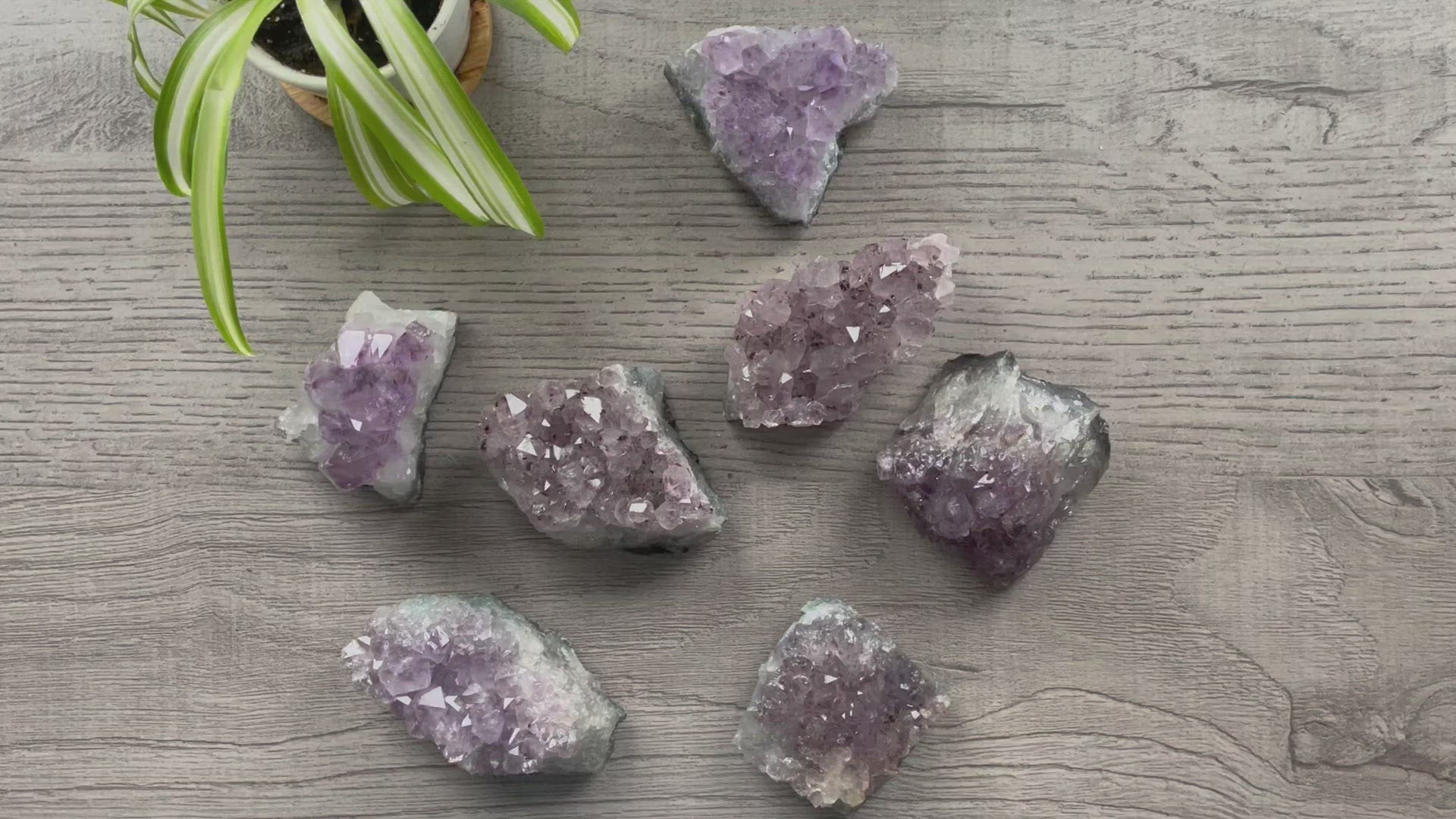 The image shows several chunks of raw amethyst crystals arranged on a flat surface. The crystals vary in size and are characterized by their violet to deep purple color. 