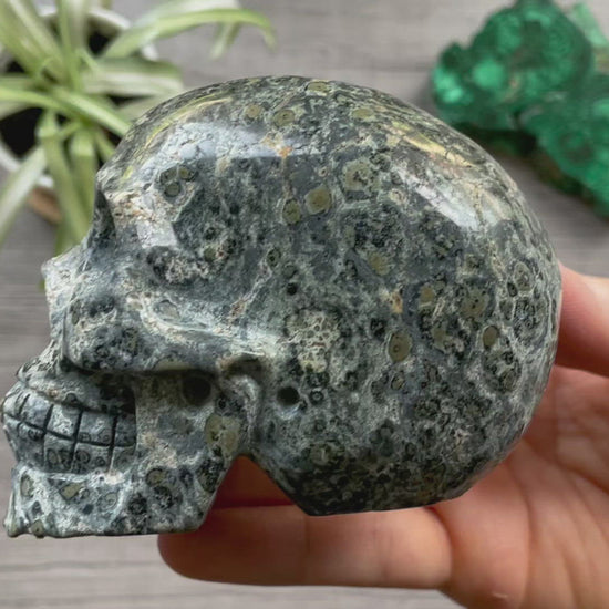 Pictured is a large skull carved out of Kambaba jasper.
