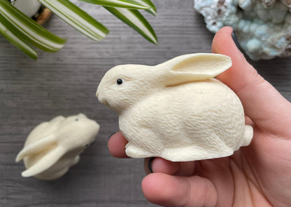 Pictured is a rabbit carved out of tagua nut.