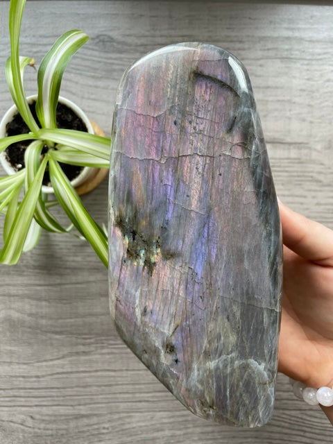 Pictured is a large polished labradorite freeform with a purple and pink flash.