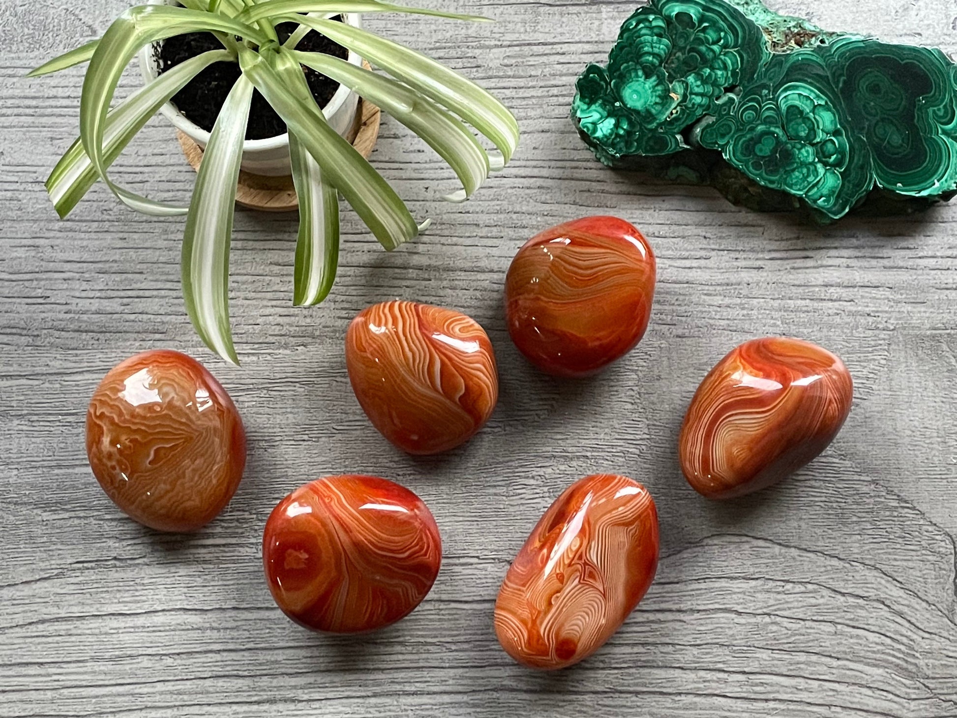 Pictured are various polished red sardonyx palm stones.