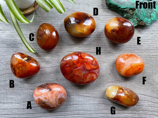 Pictured are various polished carnelian palm stones.