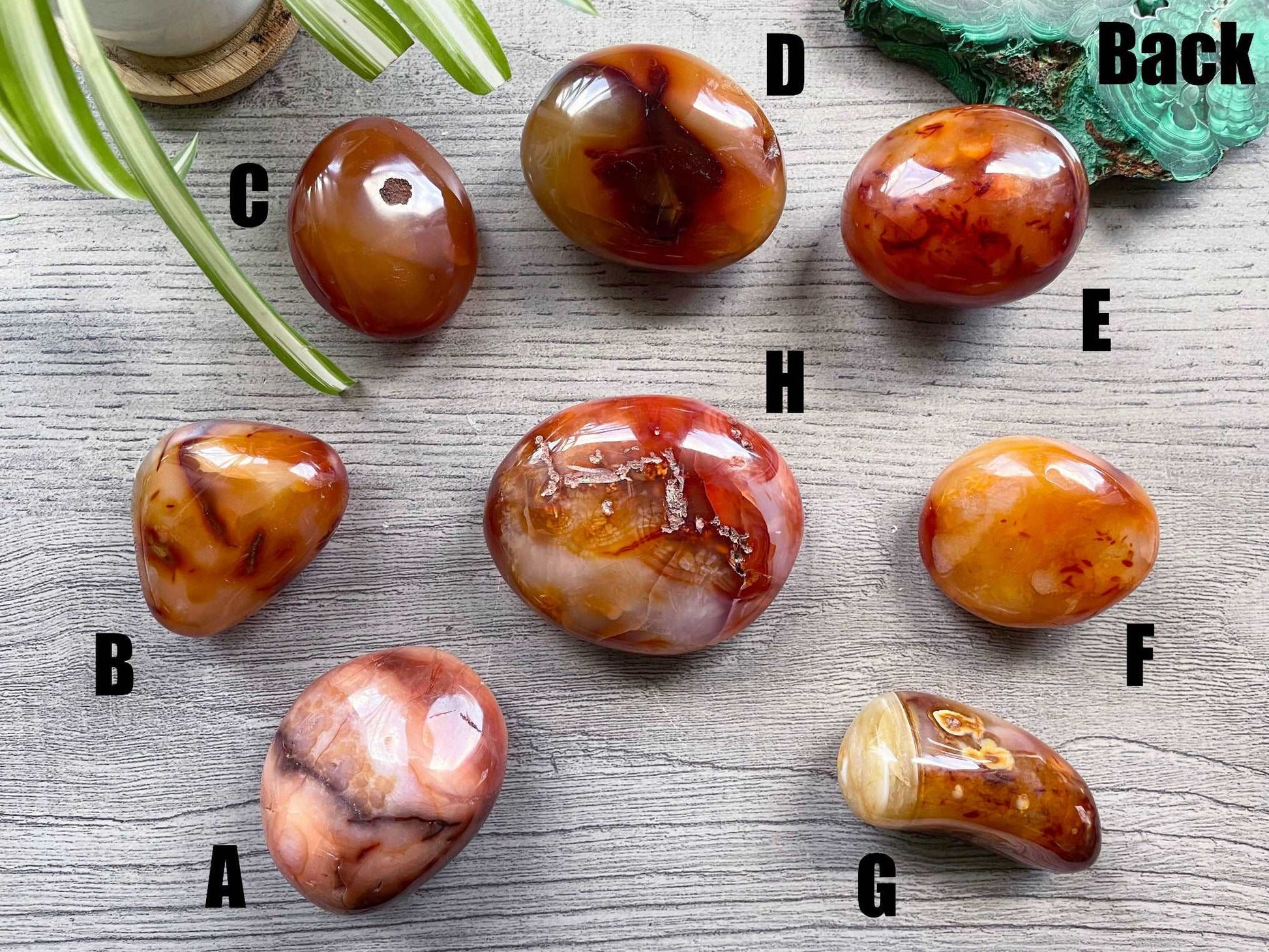 Pictured are various polished carnelian palm stones.