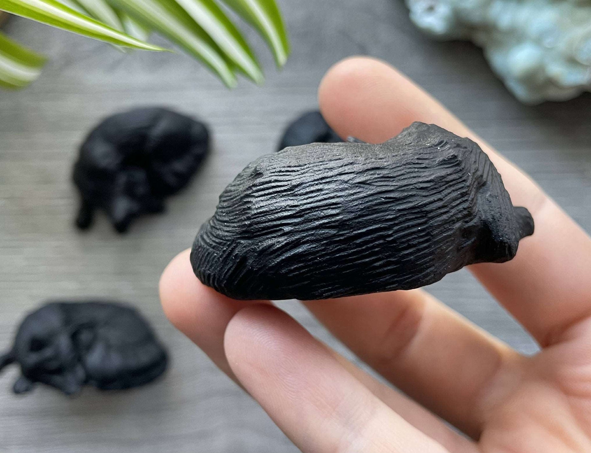 Pictured is a sleeping wolf carved out of black obsidian. Pictured is a sleeping fox carved out of black obsidian.