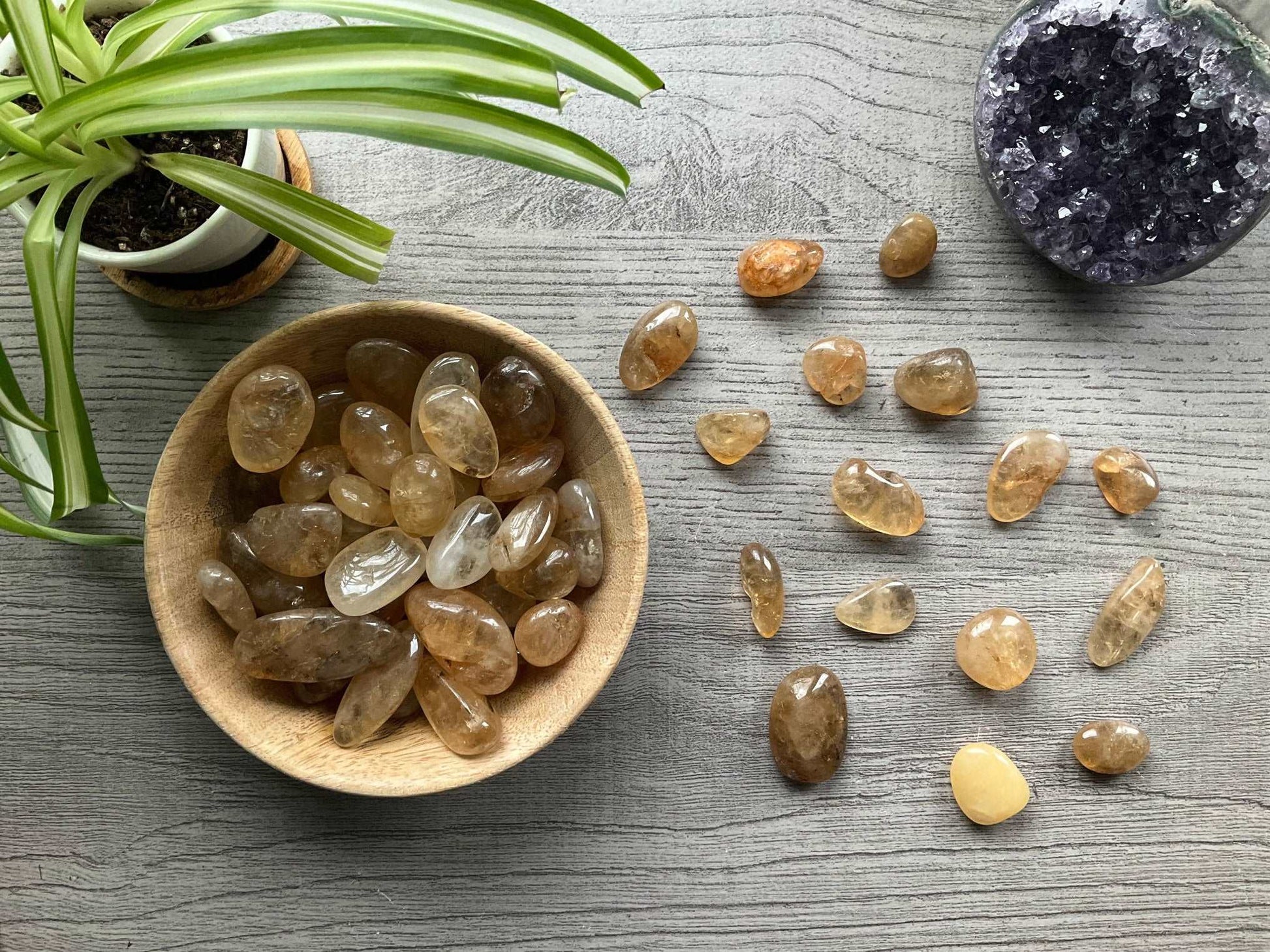 Pictured are various golden healer tumbled stones.