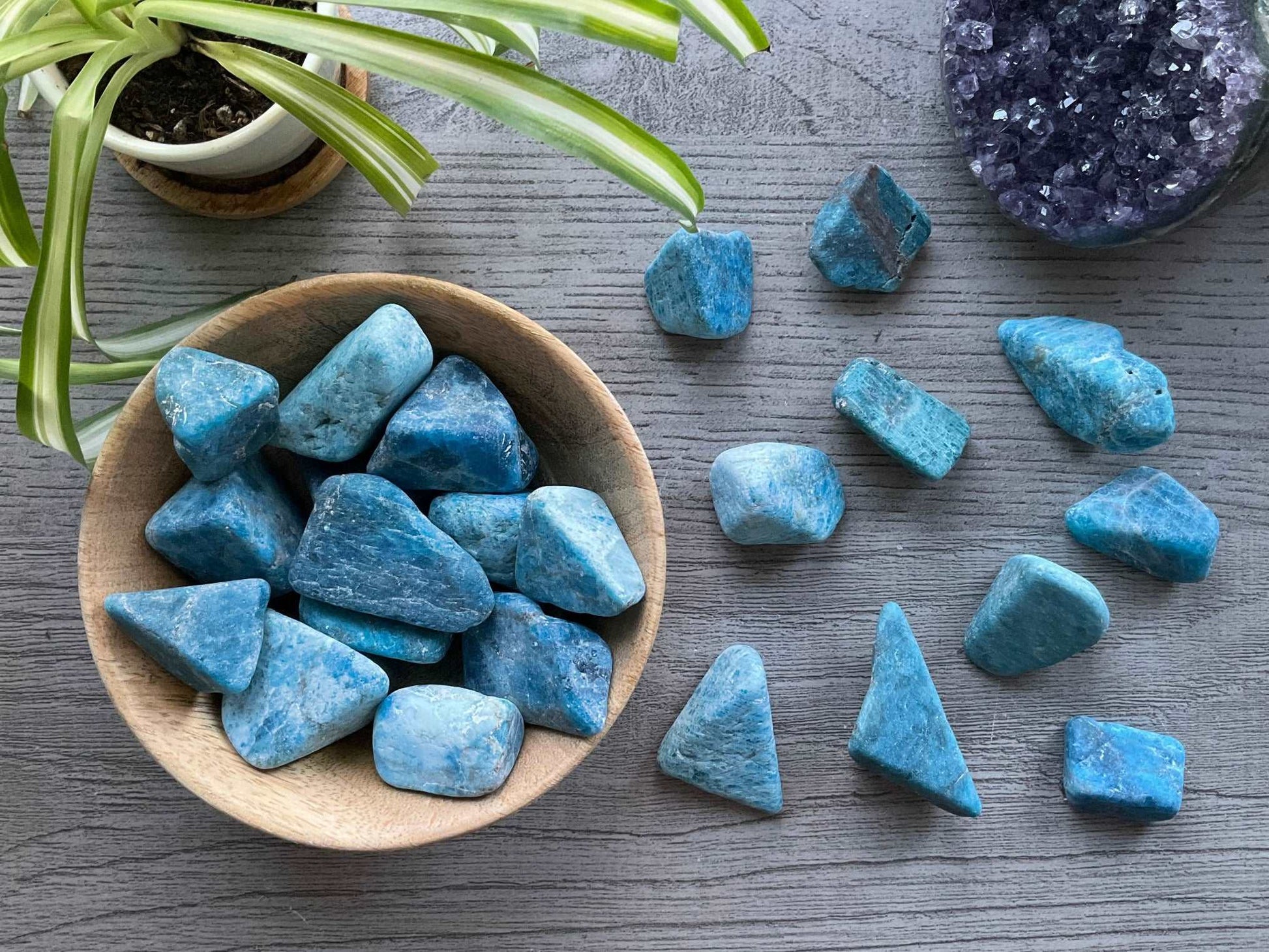 Pictured are various blue apatite tumbled stones.