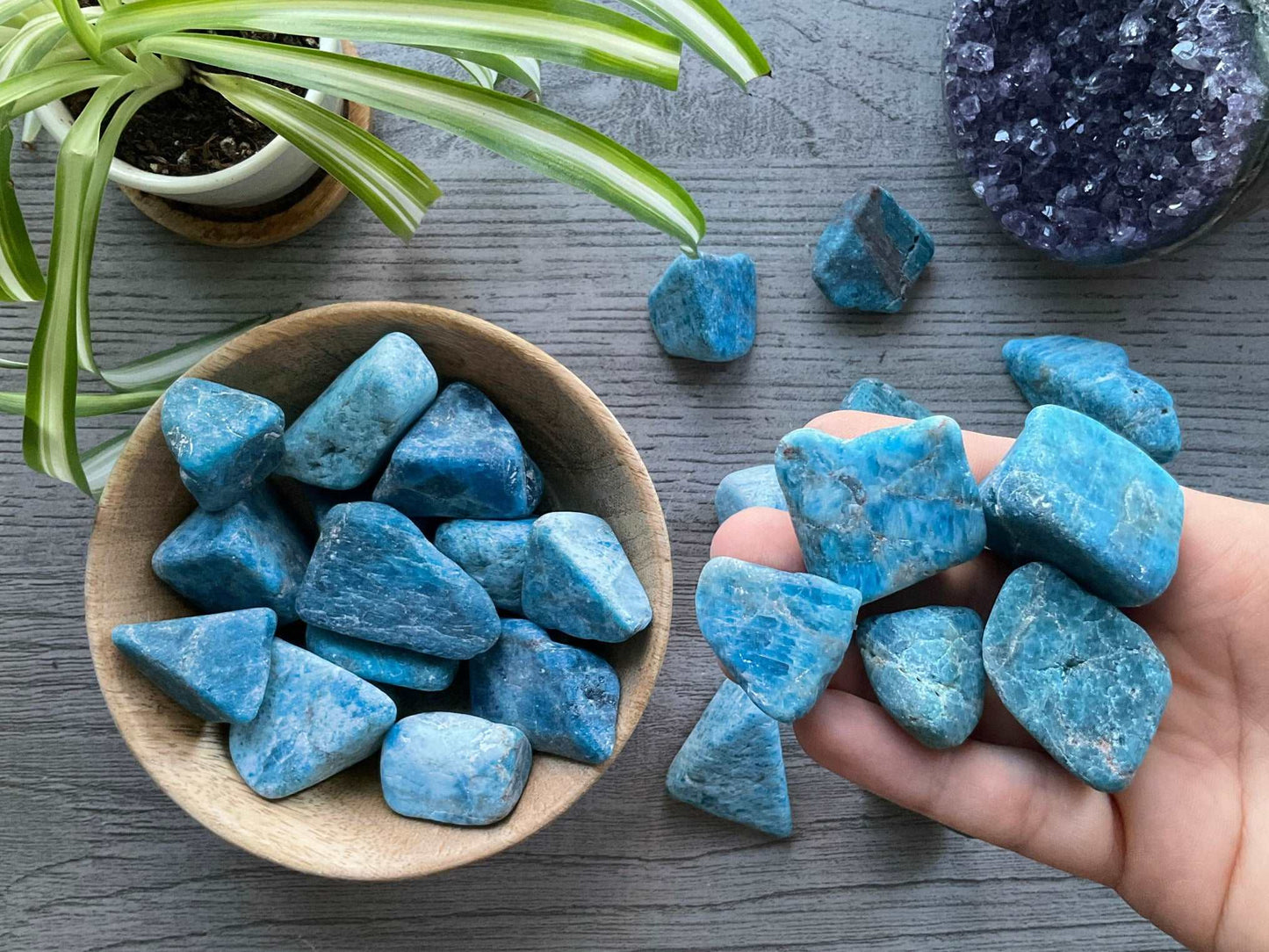 Pictured are various blue apatite tumbled stones.