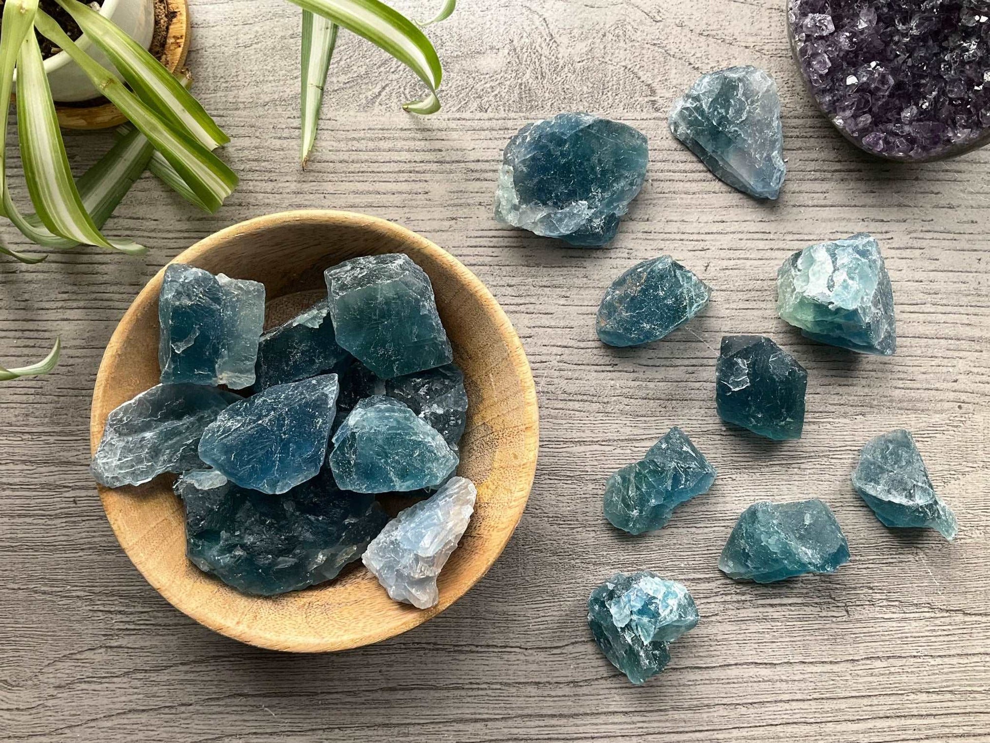 Pictured are various pieces of raw blue fluorite.