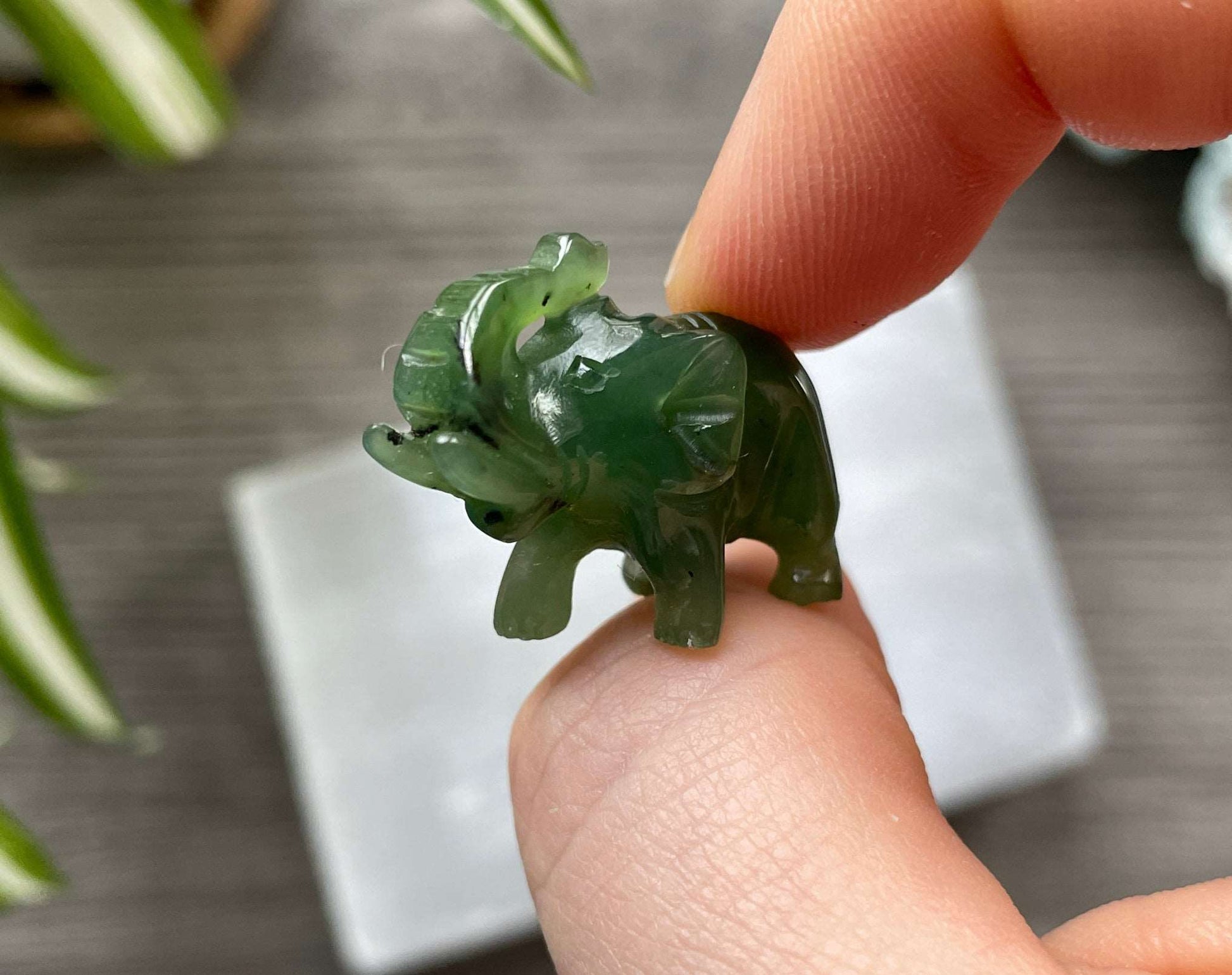 Pictured is an elephant carved out of Canadian jade / nephrite jade..