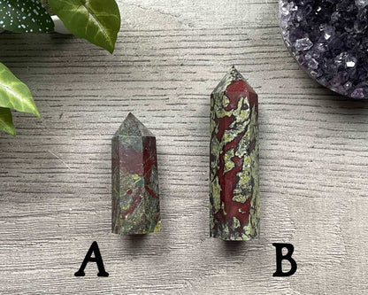 Pictured are various points of dragon bloodstone jasper.