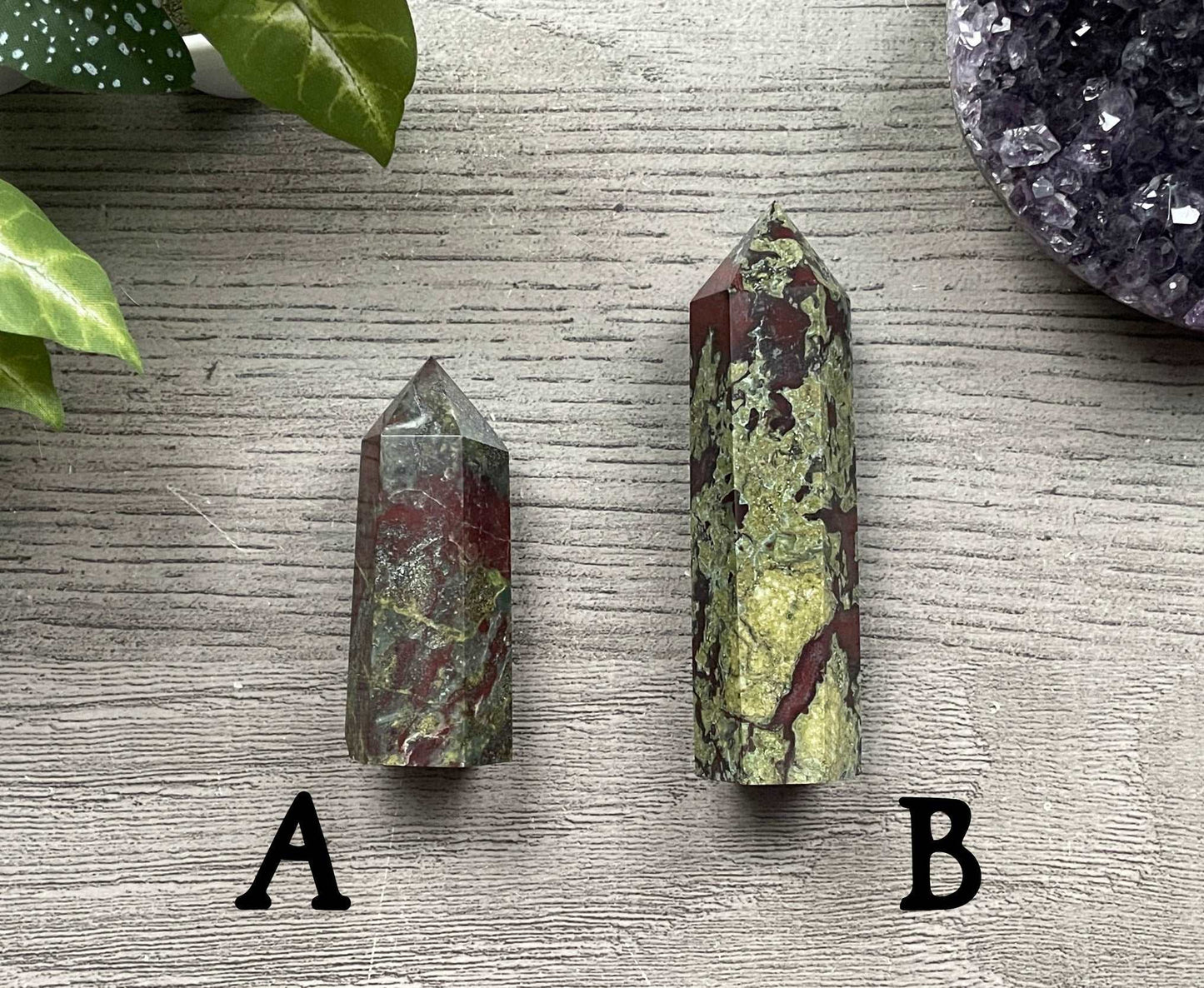 Pictured are various points of dragon bloodstone jasper.