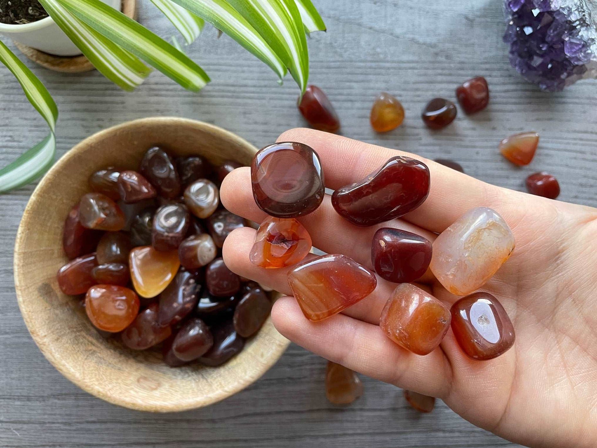 Pictured are various carnelian tumbled stones.