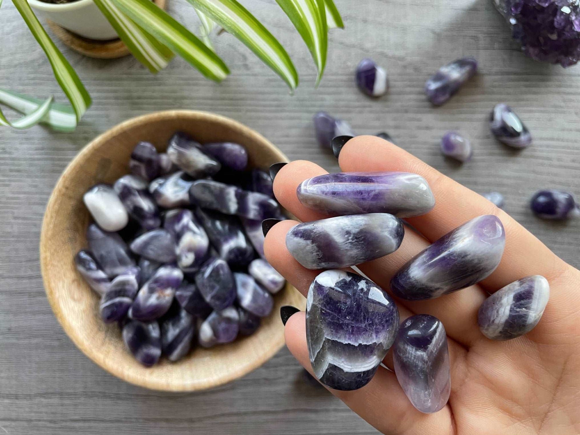 Pictured are various chevron amethyst tumbled stones.