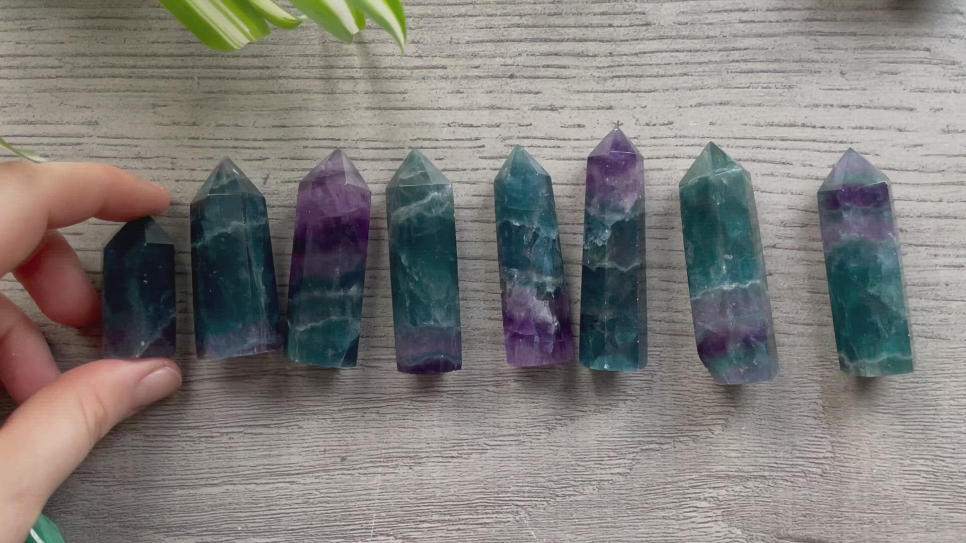 Pictured are various points of blue and purple fluorite.