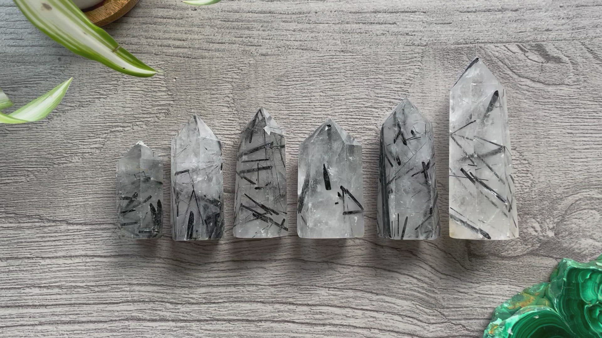 Pictured are various points of black tourmaline in quartz.