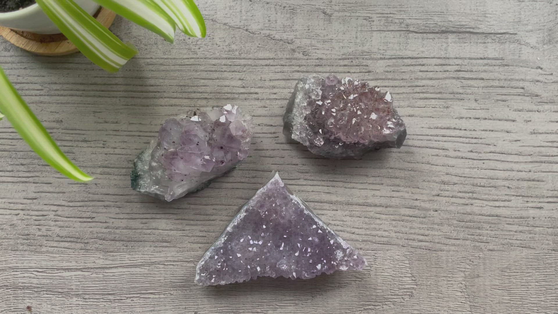 The image shows several chunks of raw amethyst crystals arranged on a flat surface. The crystals vary in size and are characterized by their violet to deep purple color. 