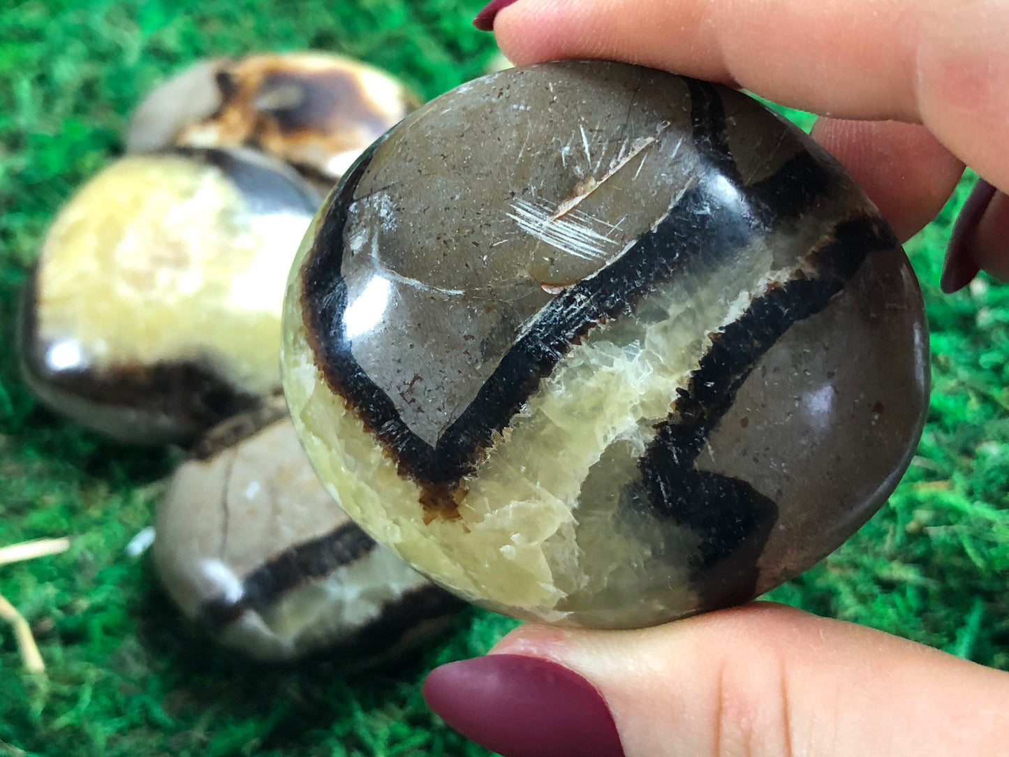 Pictured are various polished septarian (dragon stone) stones.