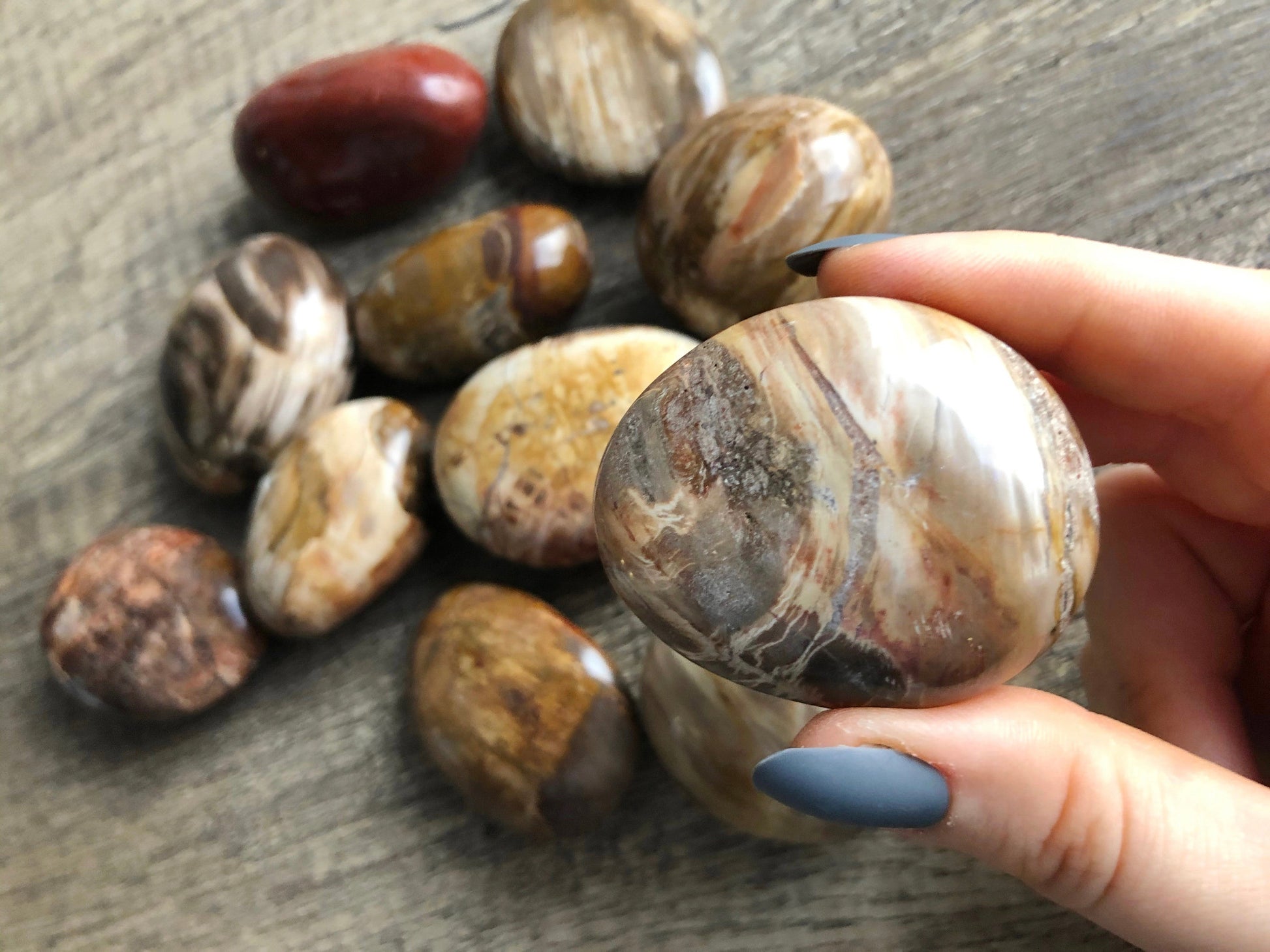 Pictured are various polished petrified wood palm stones.