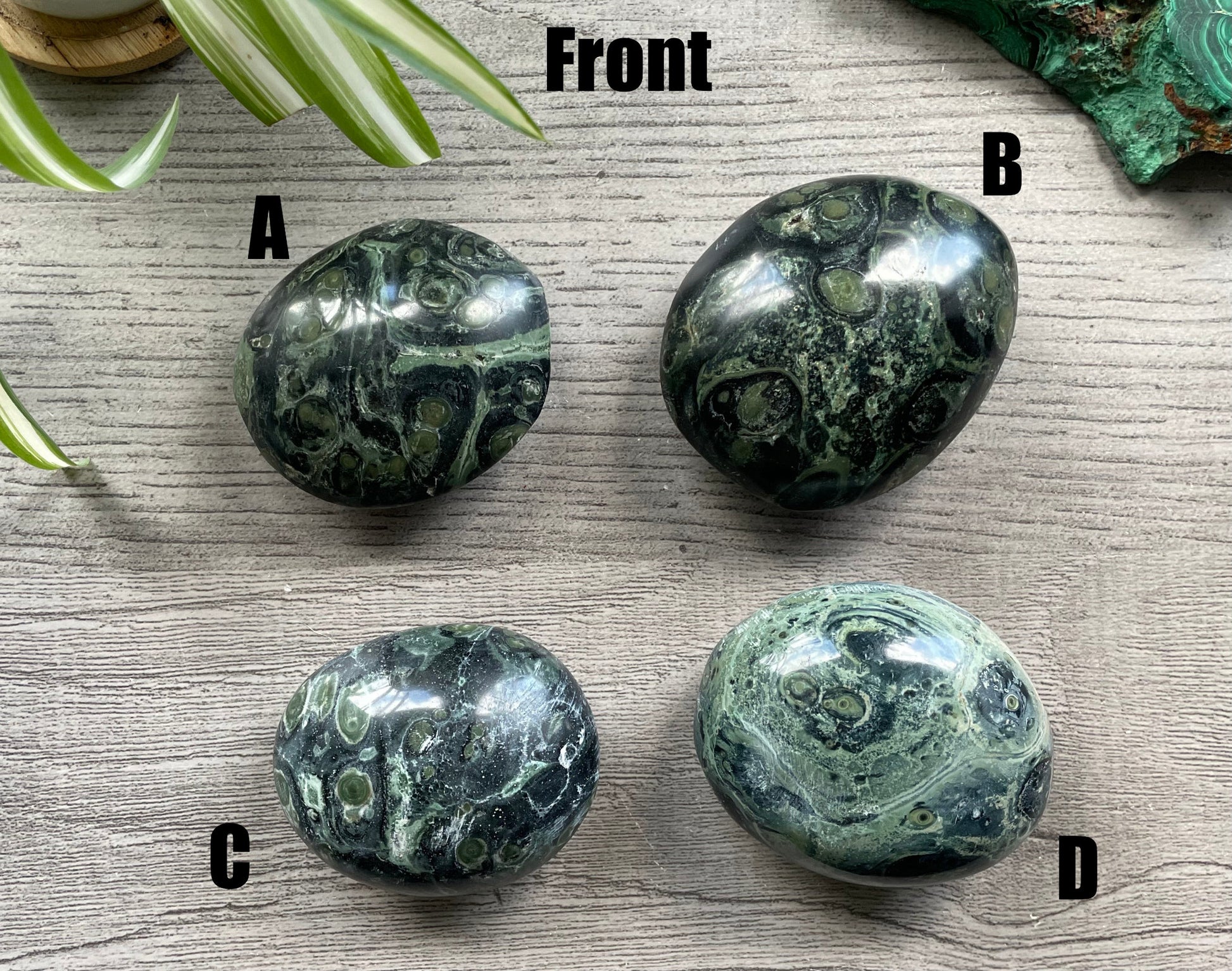 Pictured are various polished kambaba jasper palm stones.