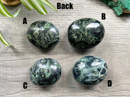 Pictured are various polished kambaba jasper palm stones.