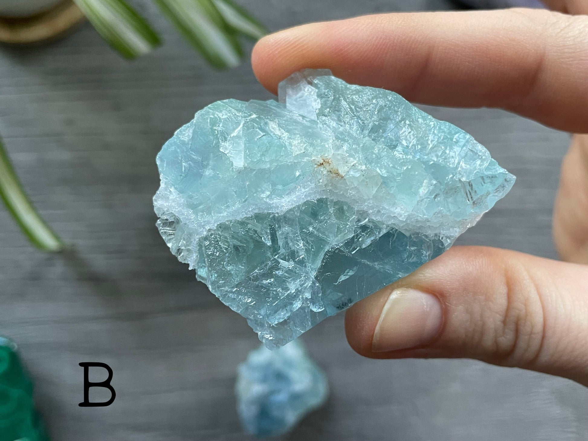 Pictured are various pieces of raw ice blue fluorite