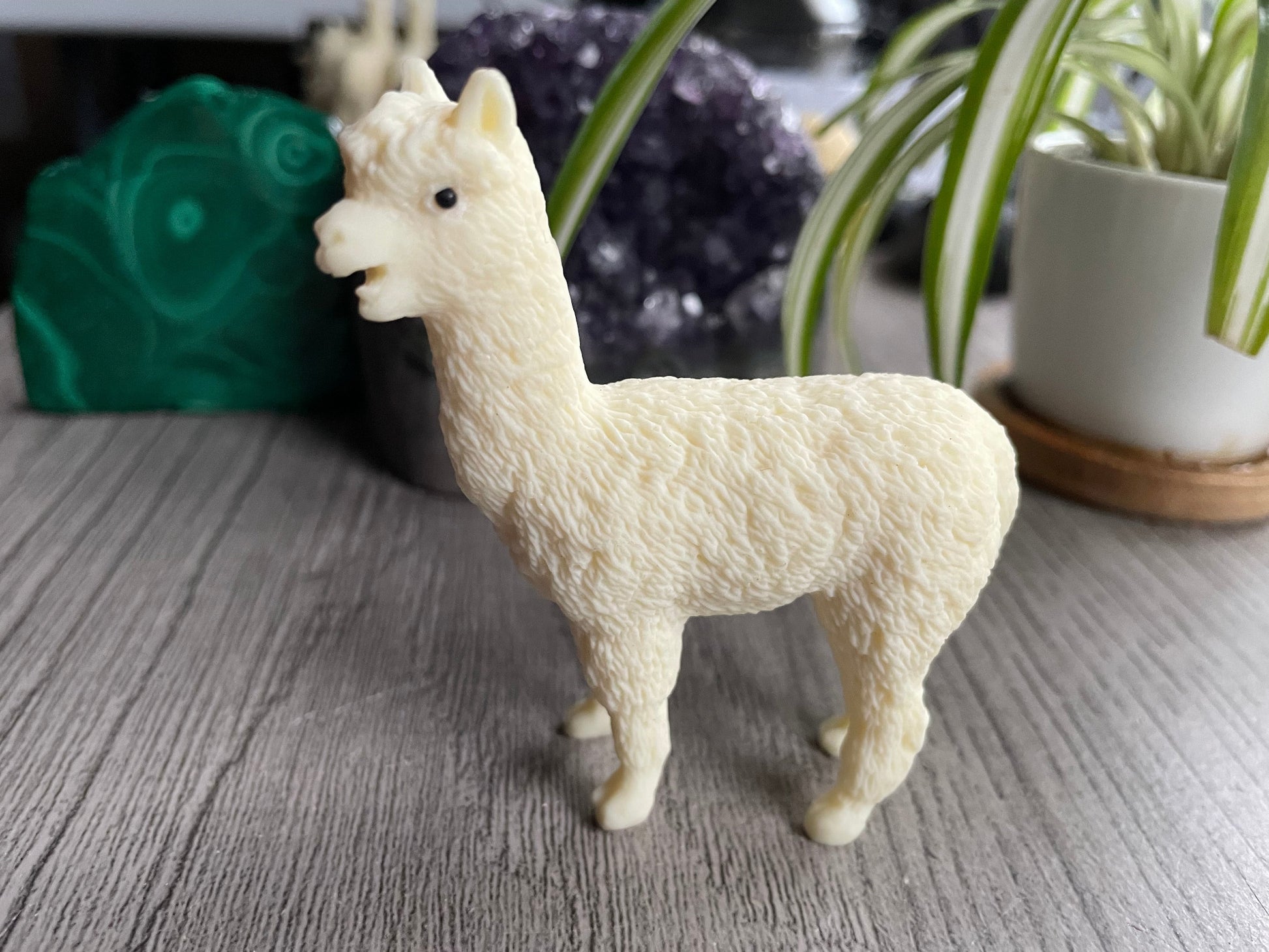 Pictured is an alpaca or llama carved out of tagua nut.
