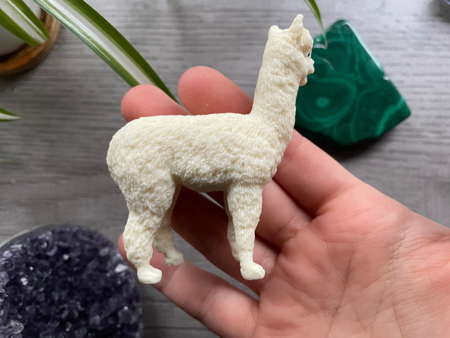 Pictured is an alpaca or llama carved out of tagua nut.