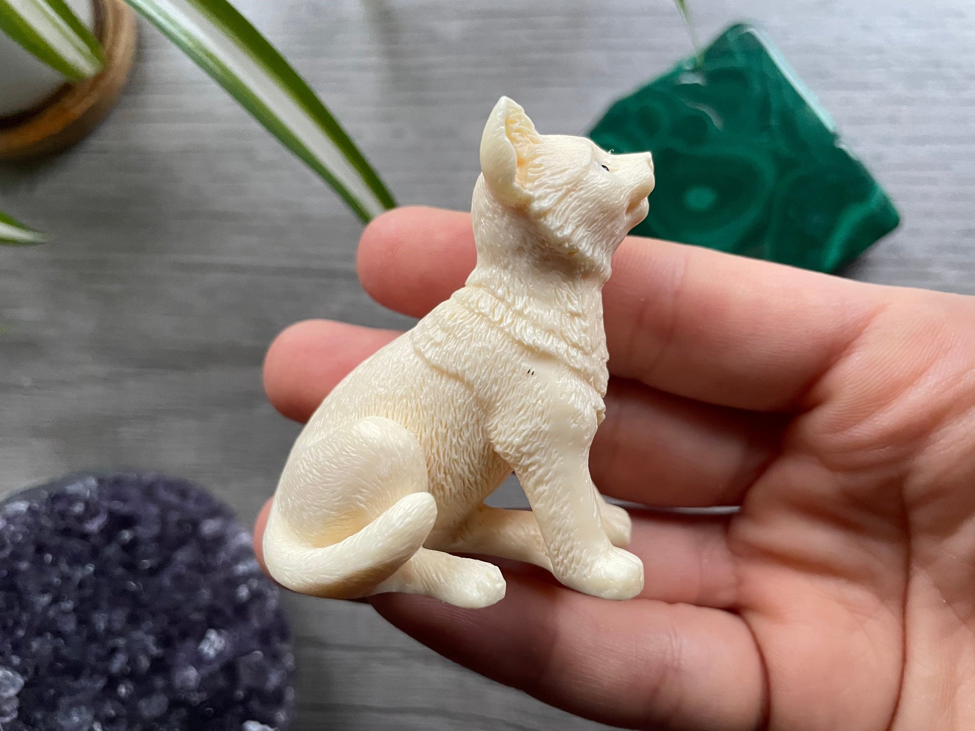Pictured is a dog carved out of tagua nut.