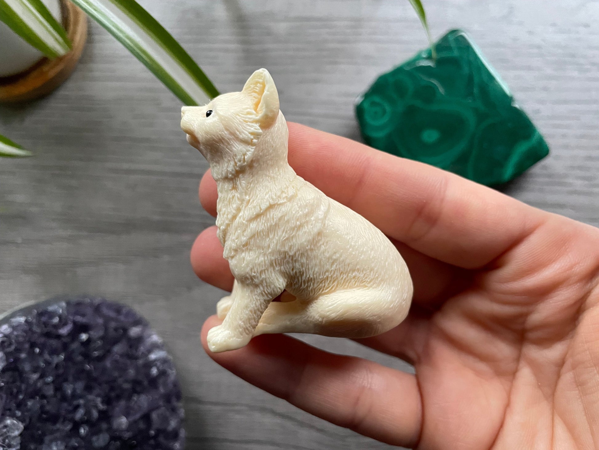 Pictured is a dog carved out of tagua nut.