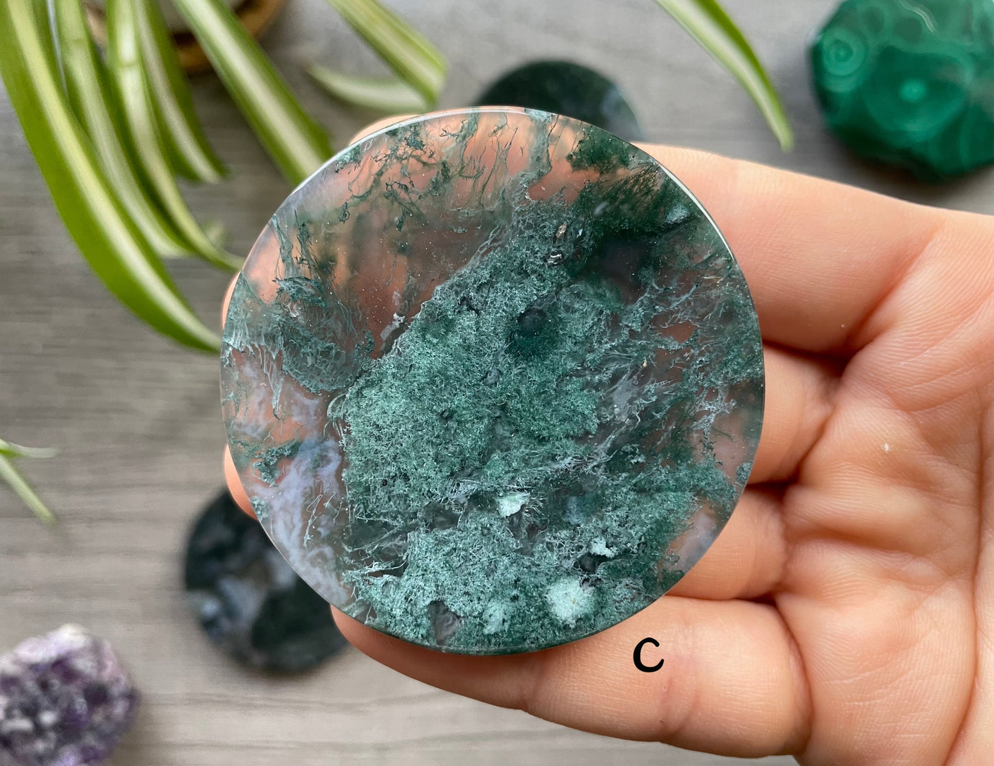 Pictured is a moss agate crystal coin.