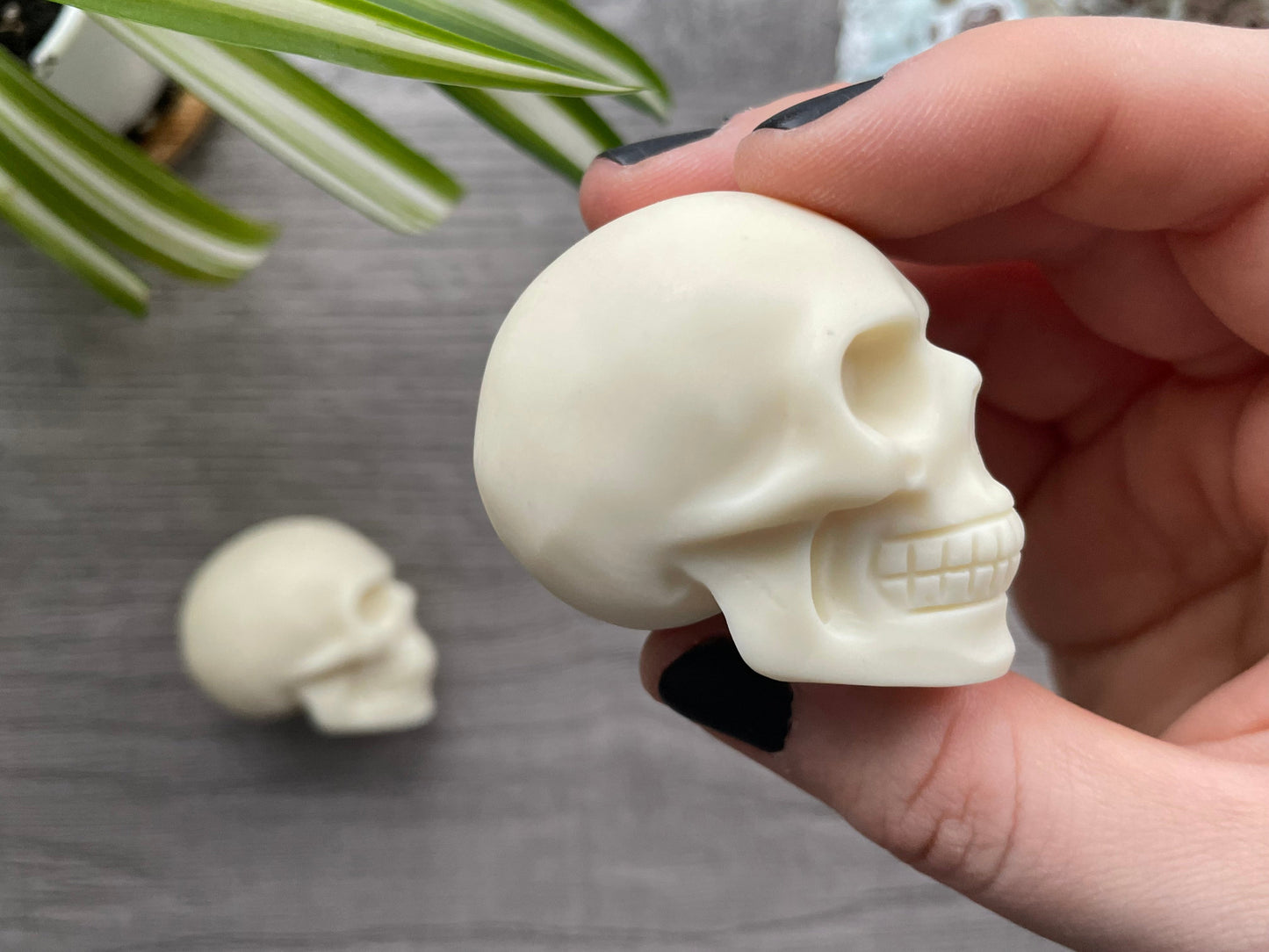 Pictured are various skulls carved out of tagua nut.