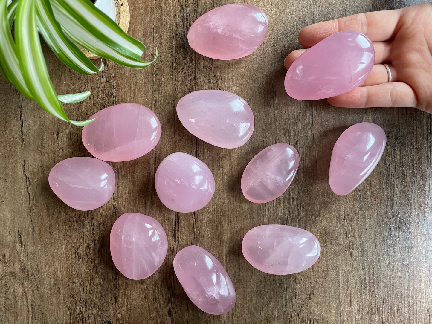 Pictured are various polished rose quartz palm stones.