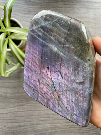 Pictured is a large labradorite freeform with a purple flash.