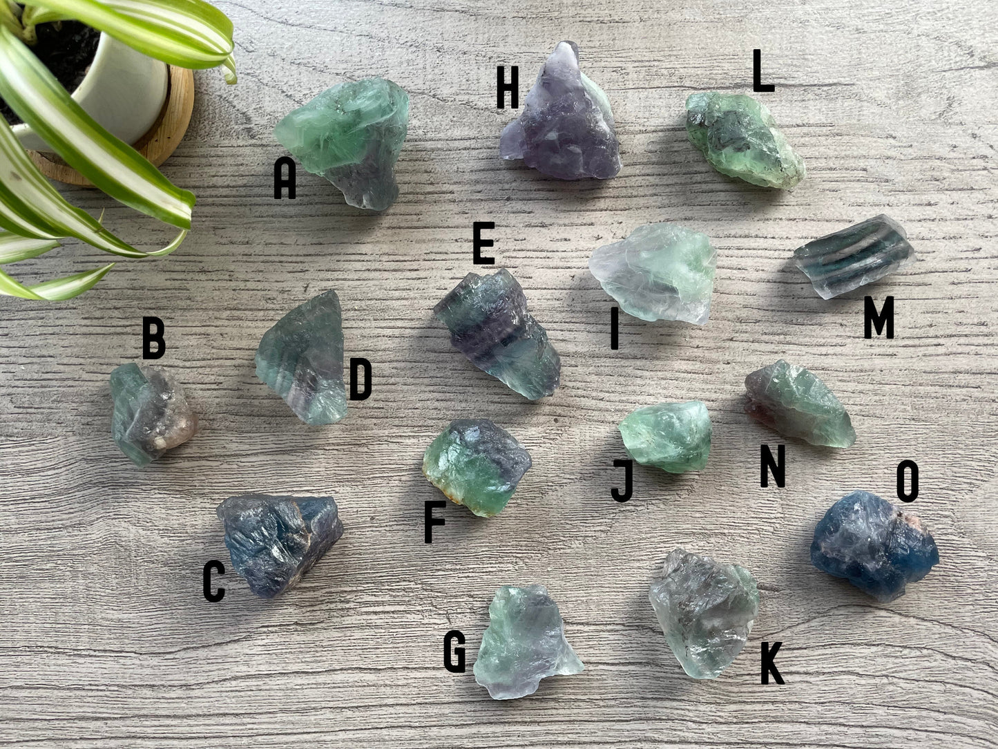 Pictured are various pieces of raw rainbow fluorite.
