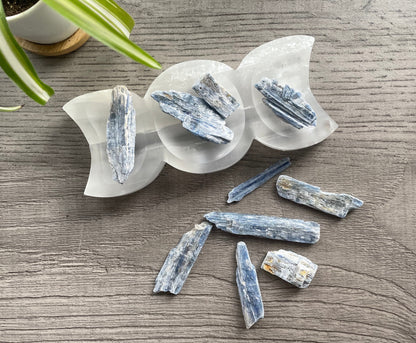 Pictured are pieces of raw blue kyanite.