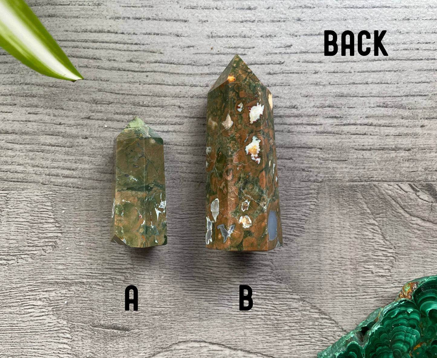 Pictured are various points of rainforest jasper.