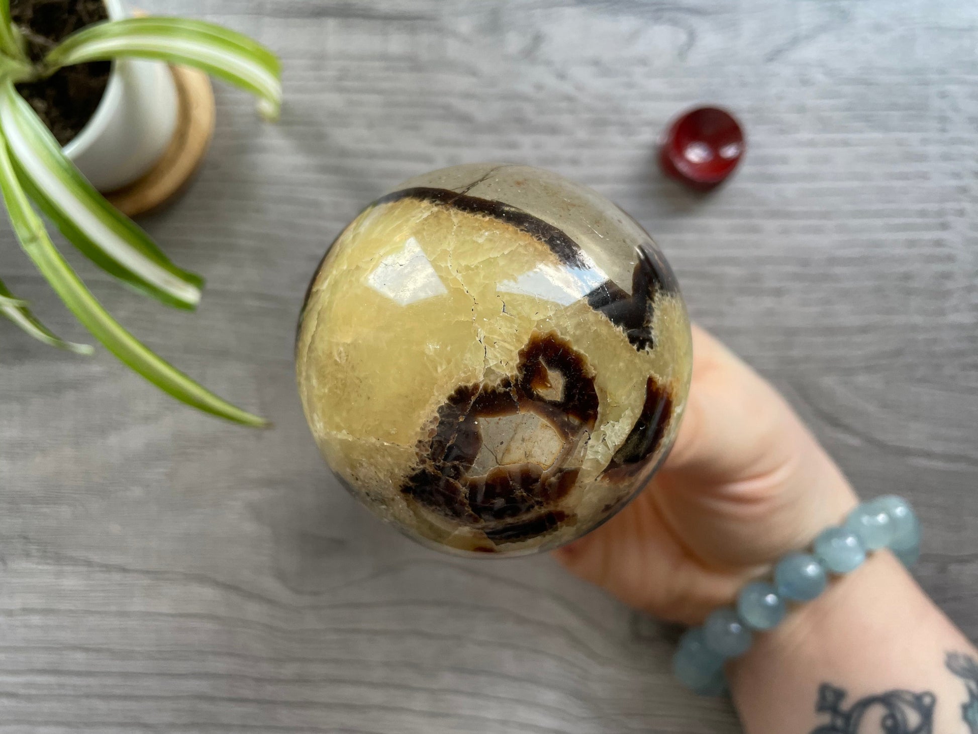 Pictured is a sphere carved out of septarian.Pictured is a sphere carved out of septarian.