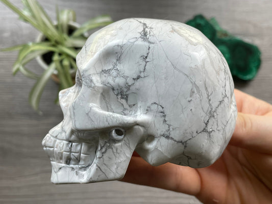 Pictured is a large skull carved out of howlite.