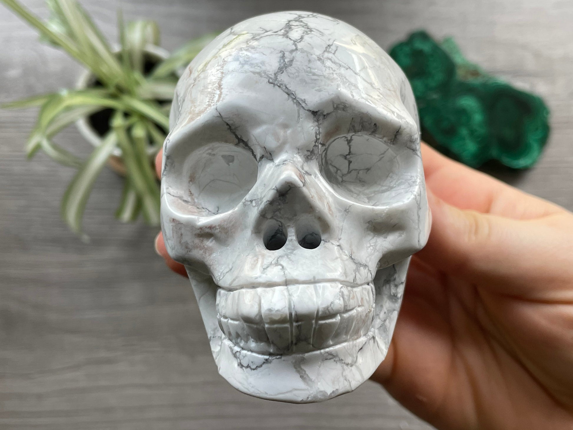 Pictured is a large skull carved out of howlite.