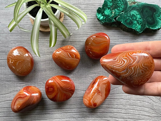 Pictured are various polished red sardonyx palm stones.