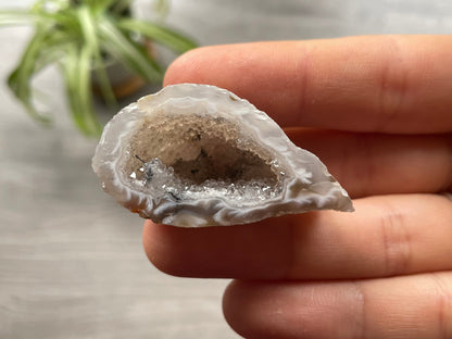 Pictured is a druzy oco geode.