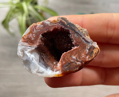 Pictured is a druzy oco geode.