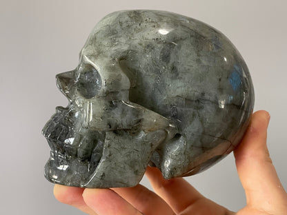 Pictured is a large skull carved out of labradorite with blue and green and purple and yellow flashes.