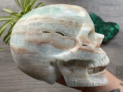 Pictured is a large skull carved out of Caribbean Calcite (blue calcite and white and brown aragonite).