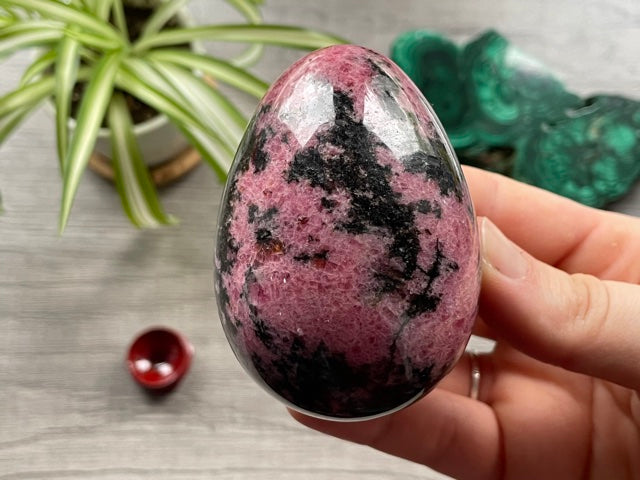 Pictured is a rhodonite egg.