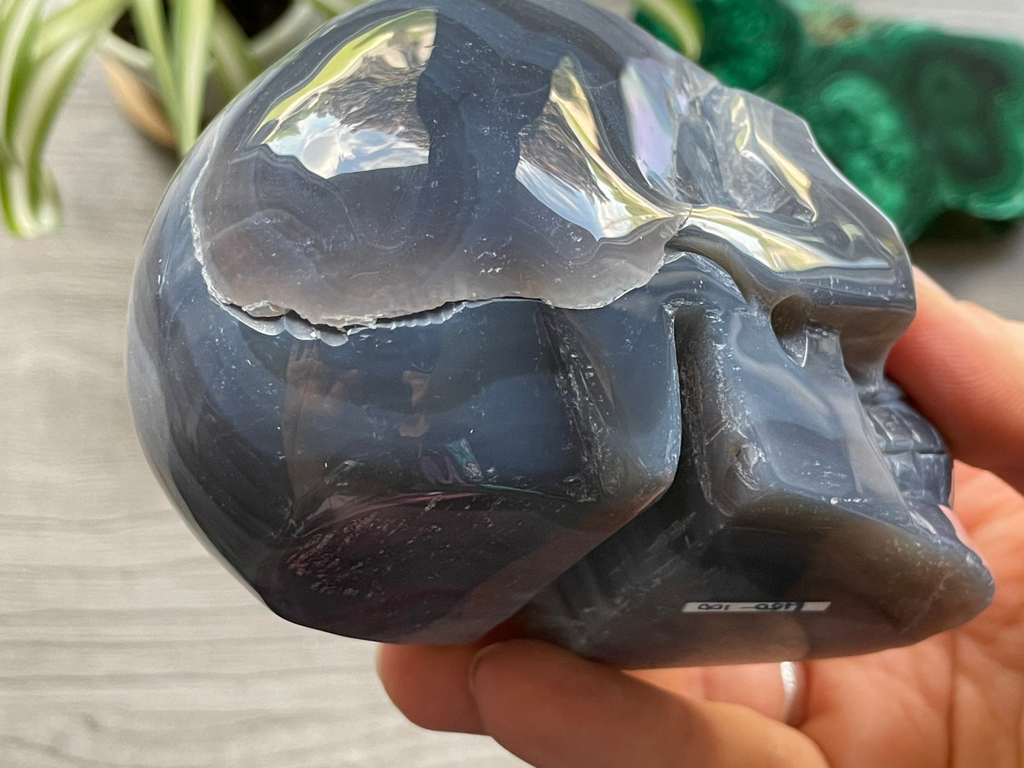 Pictured is a large skull carved out of druzy agate.