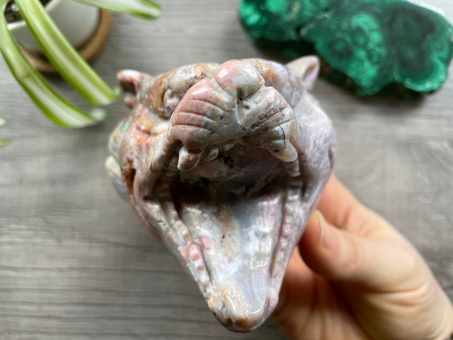Pictured is a roaring tiger's head carved out of Indian agate.
