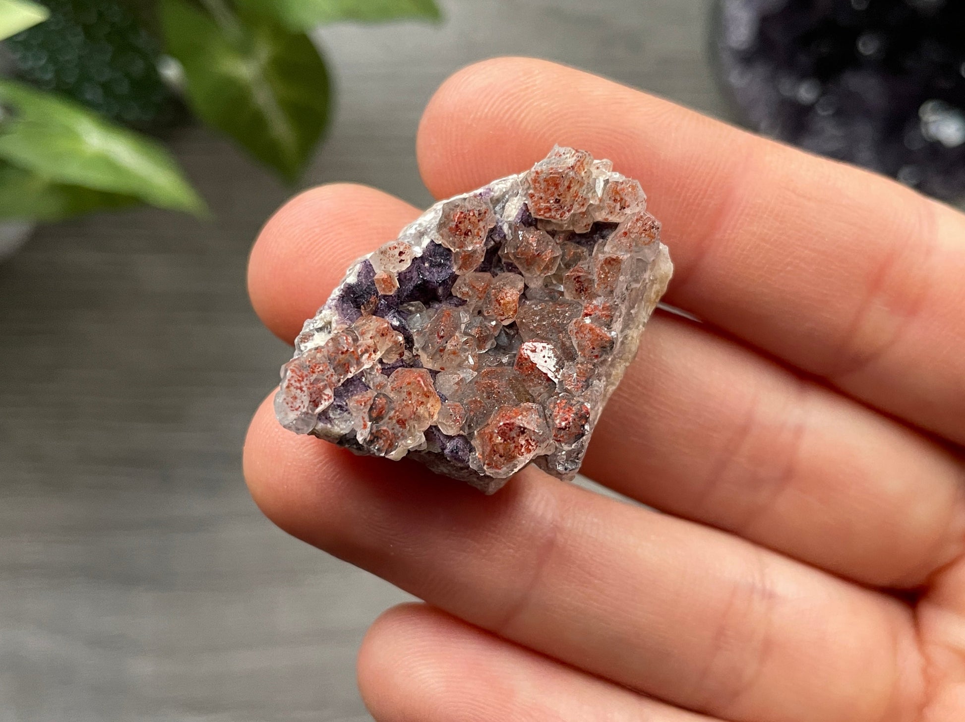 Pictured is a Thunder Bay red amethyst cluster.