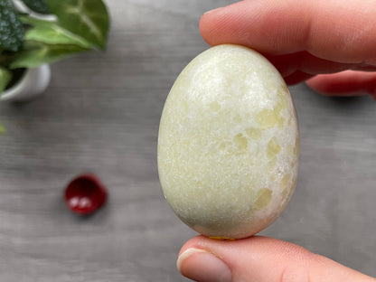 Pictured is a serpentine egg.